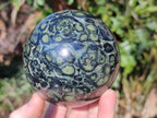 Polished Stromatolite "Kambamba Jasper" Spheres x 2 From Katsepy, Madagascar - Toprock Gemstones and Minerals 