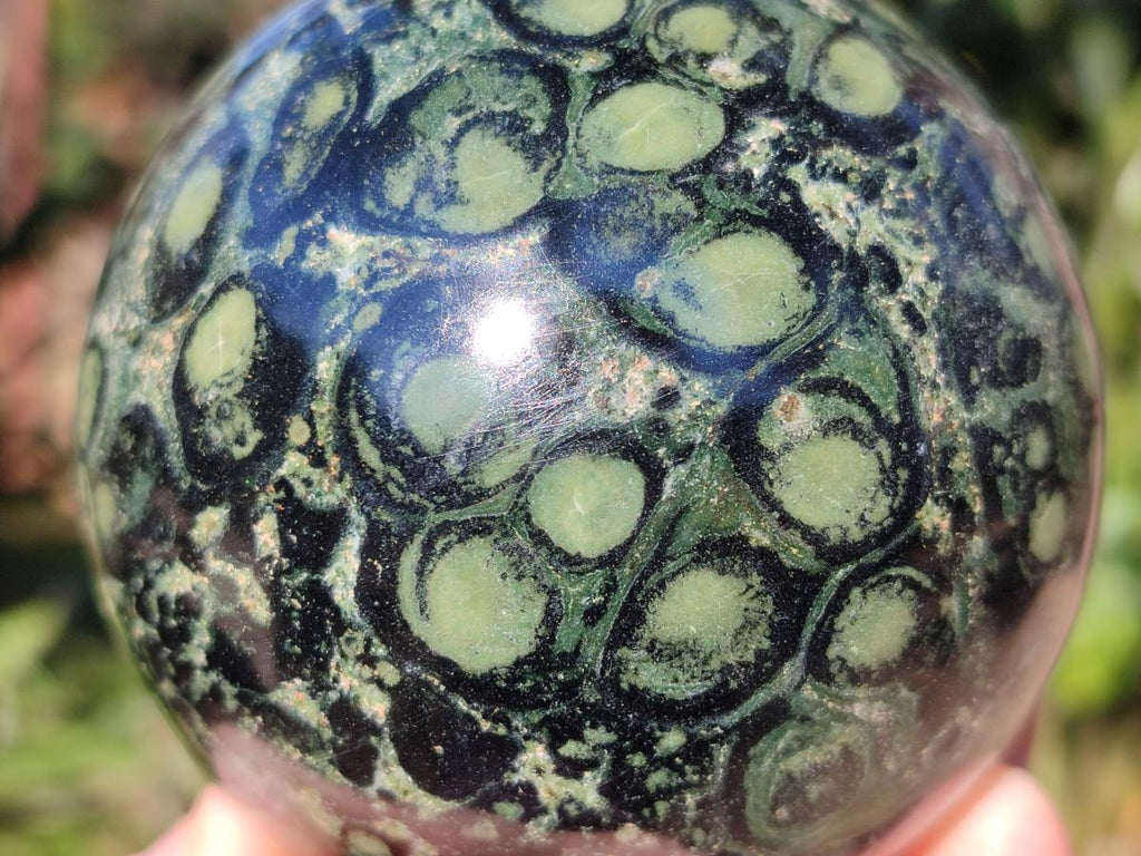 Polished Stromatolite "Kambamba Jasper" Spheres x 2 From Katsepy, Madagascar - Toprock Gemstones and Minerals 