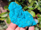 Natural Botryoidal Chrysocolla Specimens x 6 From Kulukuluku, Congo - Toprock Gemstones and Minerals 