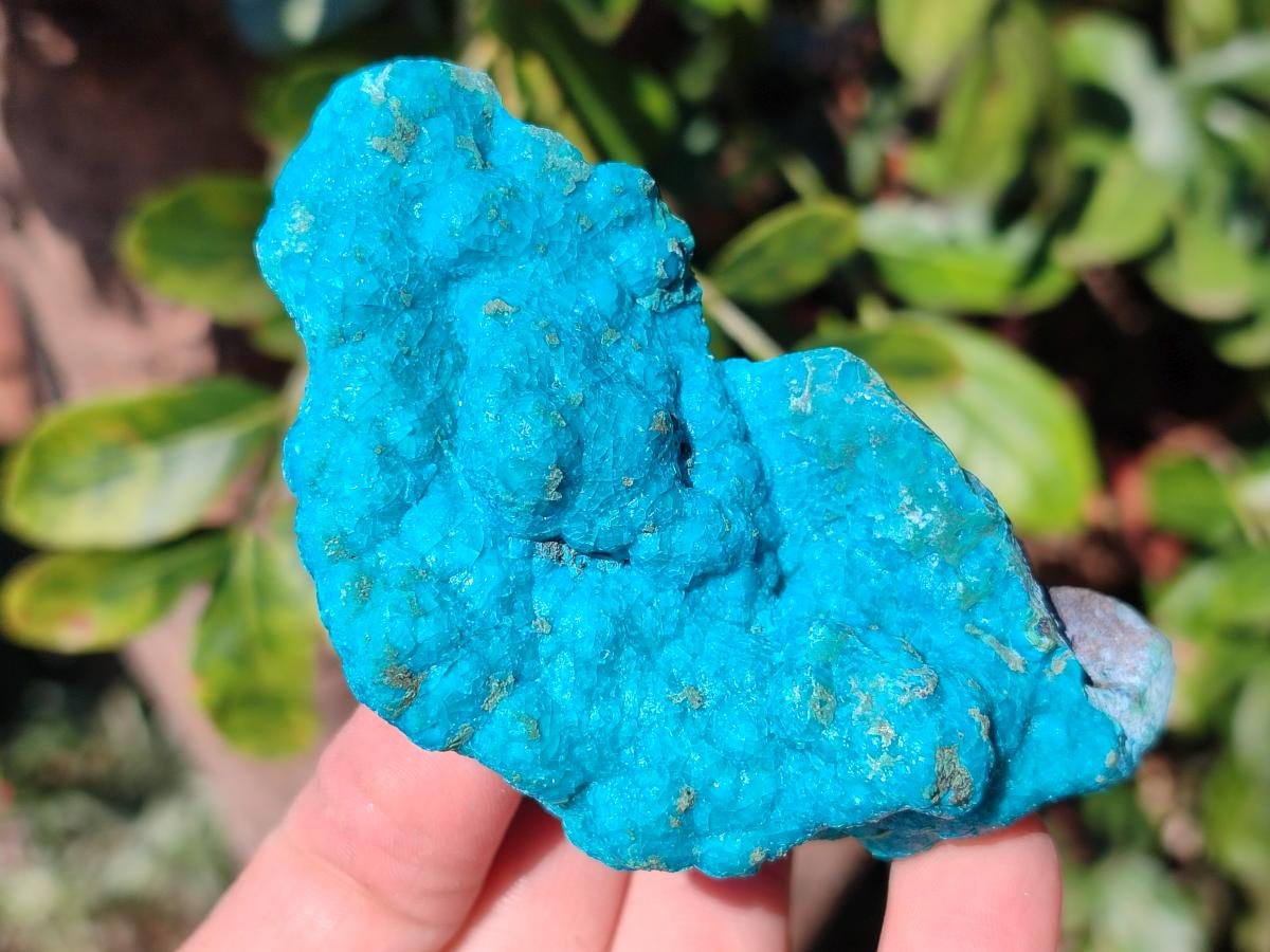 Natural Botryoidal Chrysocolla Specimens x 6 From Kulukuluku, Congo - Toprock Gemstones and Minerals 