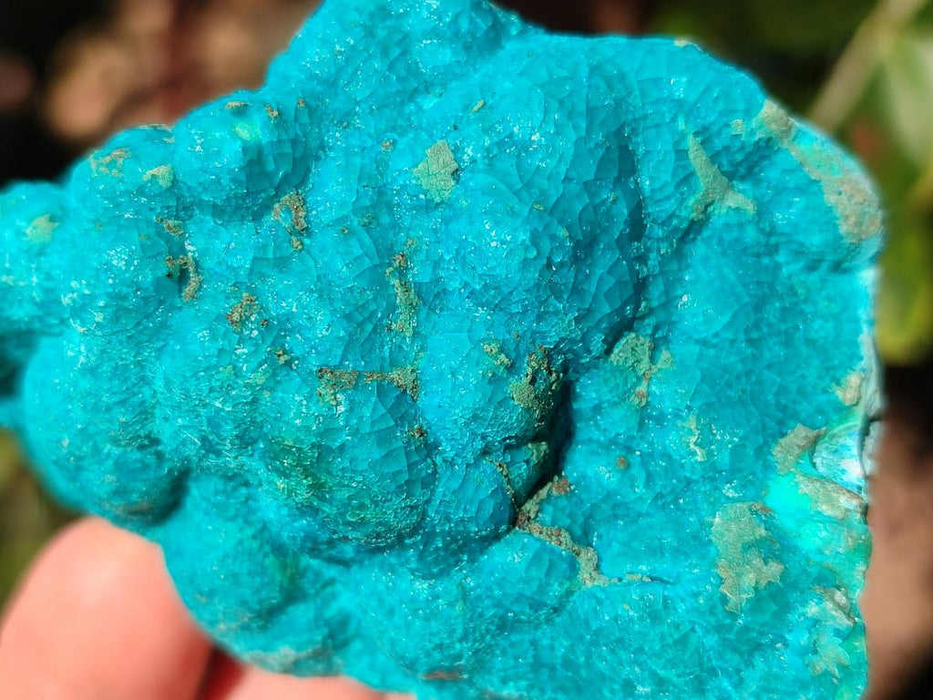Natural Botryoidal Chrysocolla Specimens x 6 From Kulukuluku, Congo - Toprock Gemstones and Minerals 
