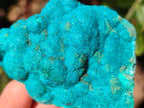 Natural Botryoidal Chrysocolla Specimens x 6 From Kulukuluku, Congo - Toprock Gemstones and Minerals 