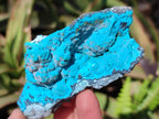 Natural Botryoidal Chrysocolla Specimens x 6 From Kulukuluku, Congo - Toprock Gemstones and Minerals 