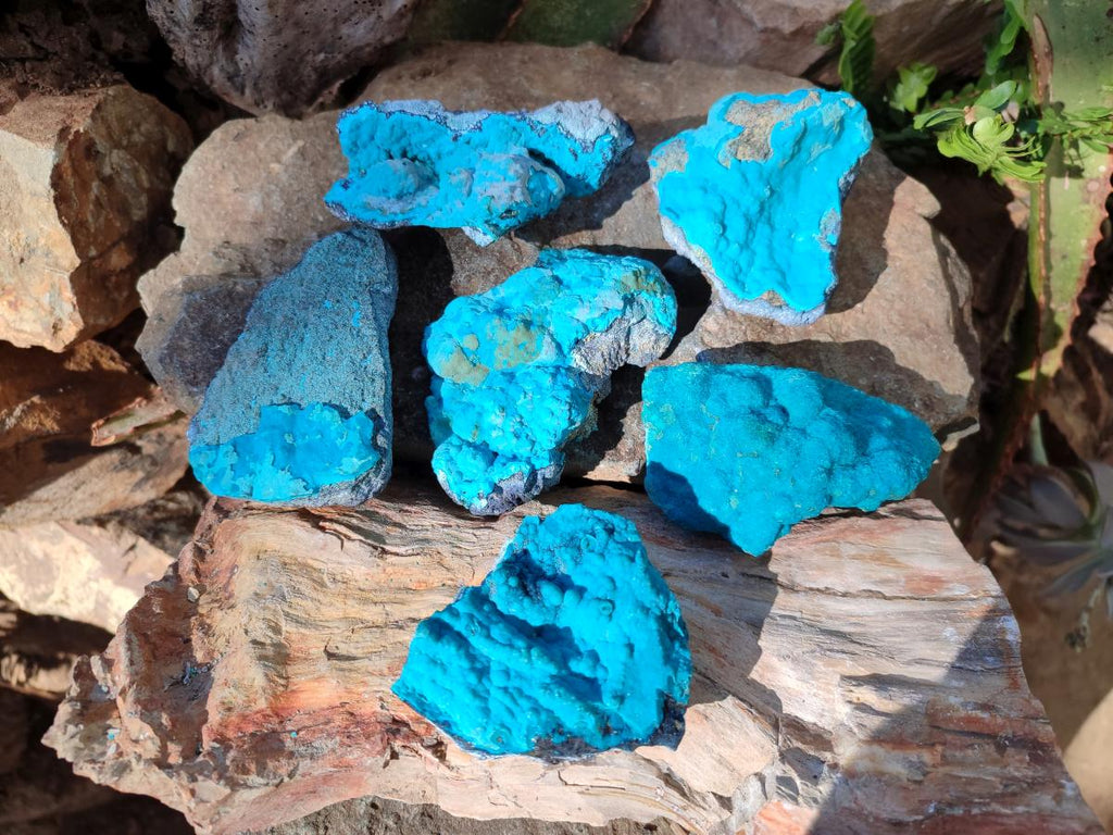 Natural Botryoidal Chrysocolla Specimens x 6 From Kulukuluku, Congo - Toprock Gemstones and Minerals 