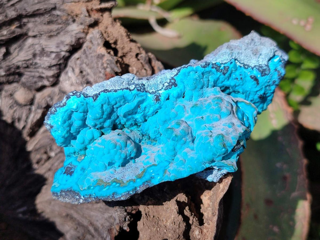 Natural Botryoidal Chrysocolla Specimens x 6 From Kulukuluku, Congo - Toprock Gemstones and Minerals 