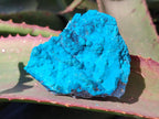 Natural Botryoidal Chrysocolla Specimens x 6 From Kulukuluku, Congo - Toprock Gemstones and Minerals 