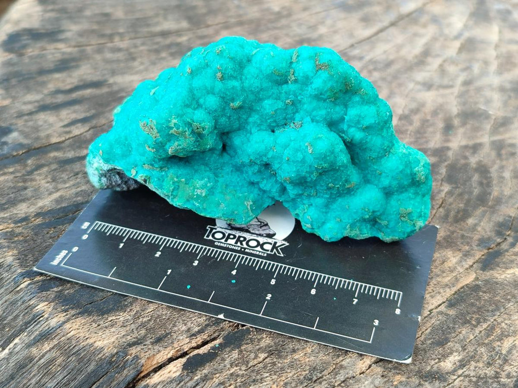Natural Botryoidal Chrysocolla Specimens x 6 From Kulukuluku, Congo - Toprock Gemstones and Minerals 