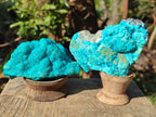 Natural Botryoidal Chrysocolla Specimens x 6 From Kulukuluku, Congo - Toprock Gemstones and Minerals 