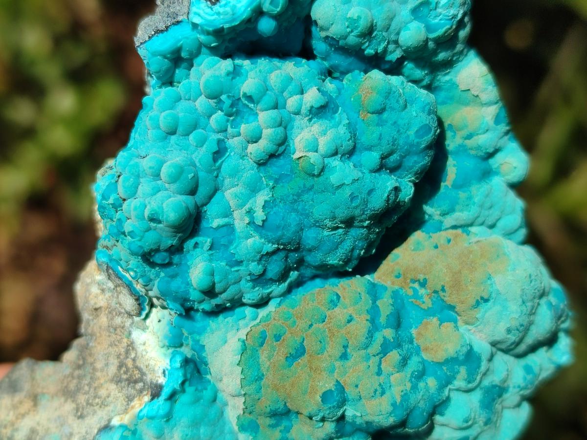 Natural Botryoidal Chrysocolla Specimens x 6 From Kulukuluku, Congo - Toprock Gemstones and Minerals 
