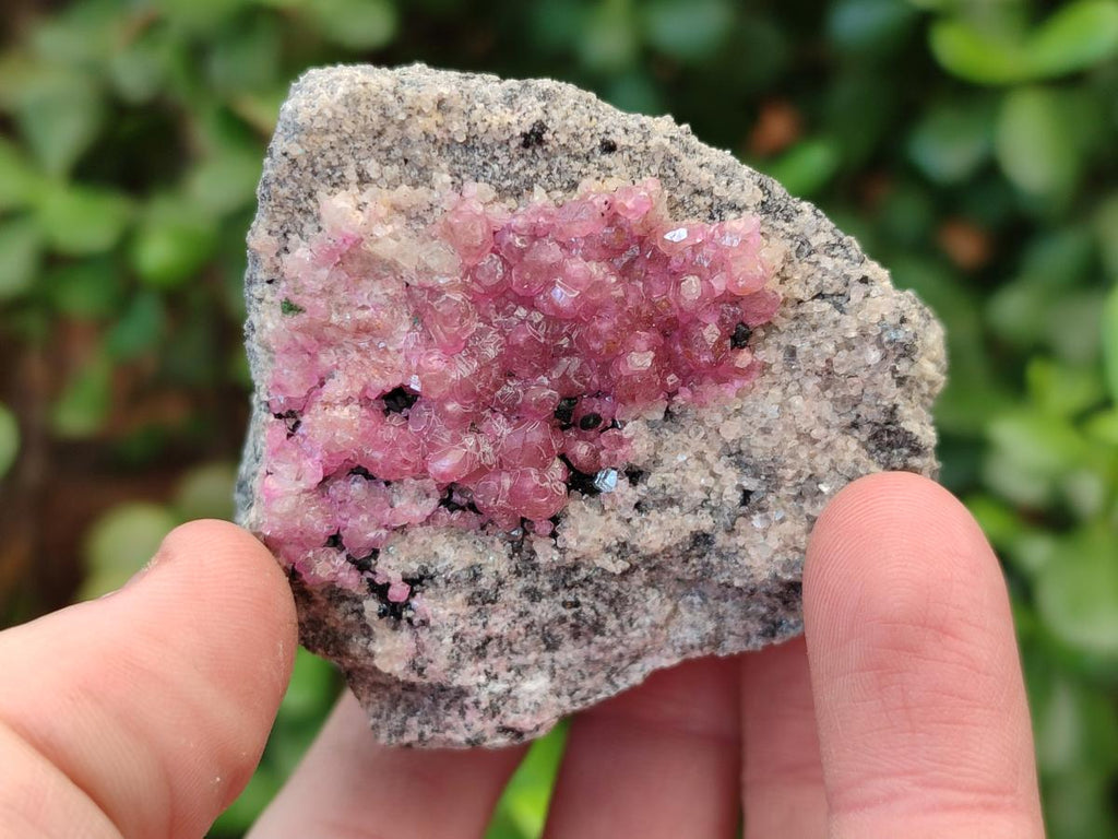 Natural Spherocobaltite Specimens x 6 From Musonoi Mine, Congo - Toprock Gemstones and Minerals 