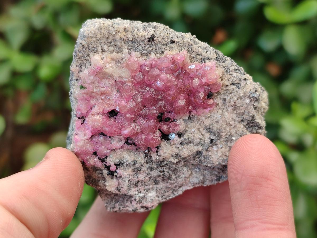Natural Spherocobaltite Specimens x 6 From Musonoi Mine, Congo - Toprock Gemstones and Minerals 