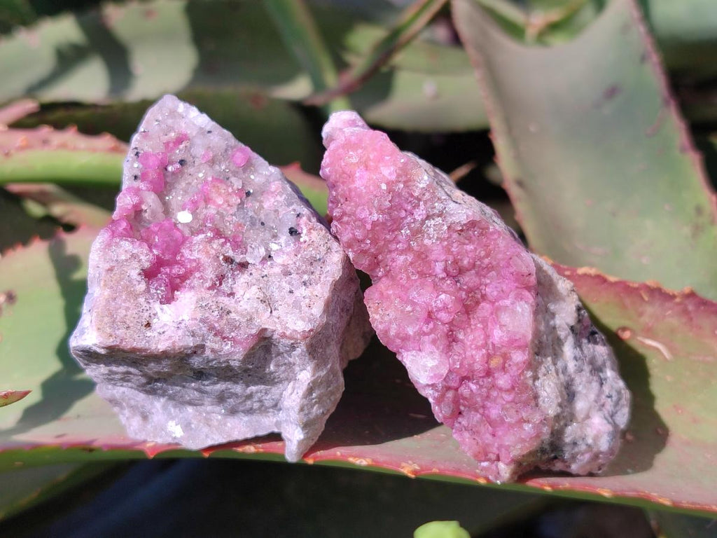 Natural Spherocobaltite Specimens x 6 From Musonoi Mine, Congo - Toprock Gemstones and Minerals 