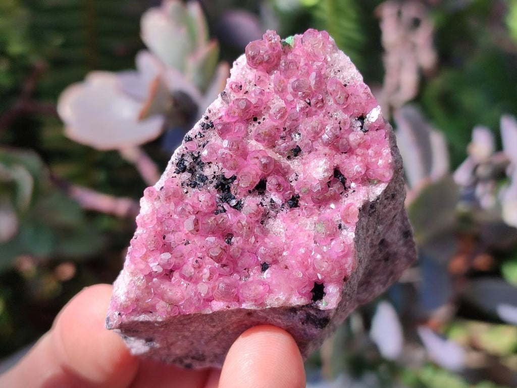 Natural Spherocobaltite Specimens x 6 From Musonoi Mine, Congo - Toprock Gemstones and Minerals 