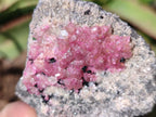 Natural Spherocobaltite Specimens x 6 From Musonoi Mine, Congo - Toprock Gemstones and Minerals 