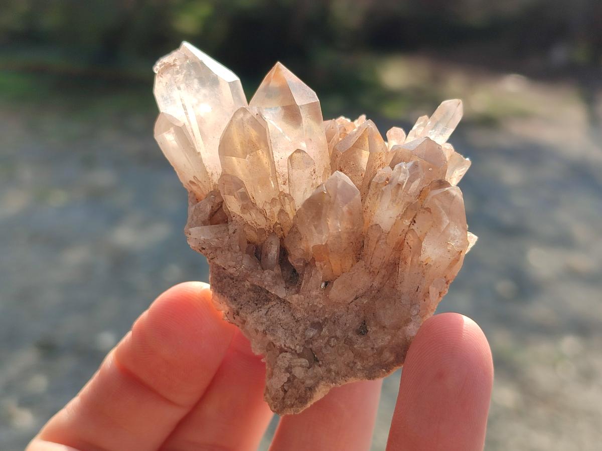 Natural Malagasy Quartz Clusters x 24 From Madagascar - Toprock Gemstones and Minerals 