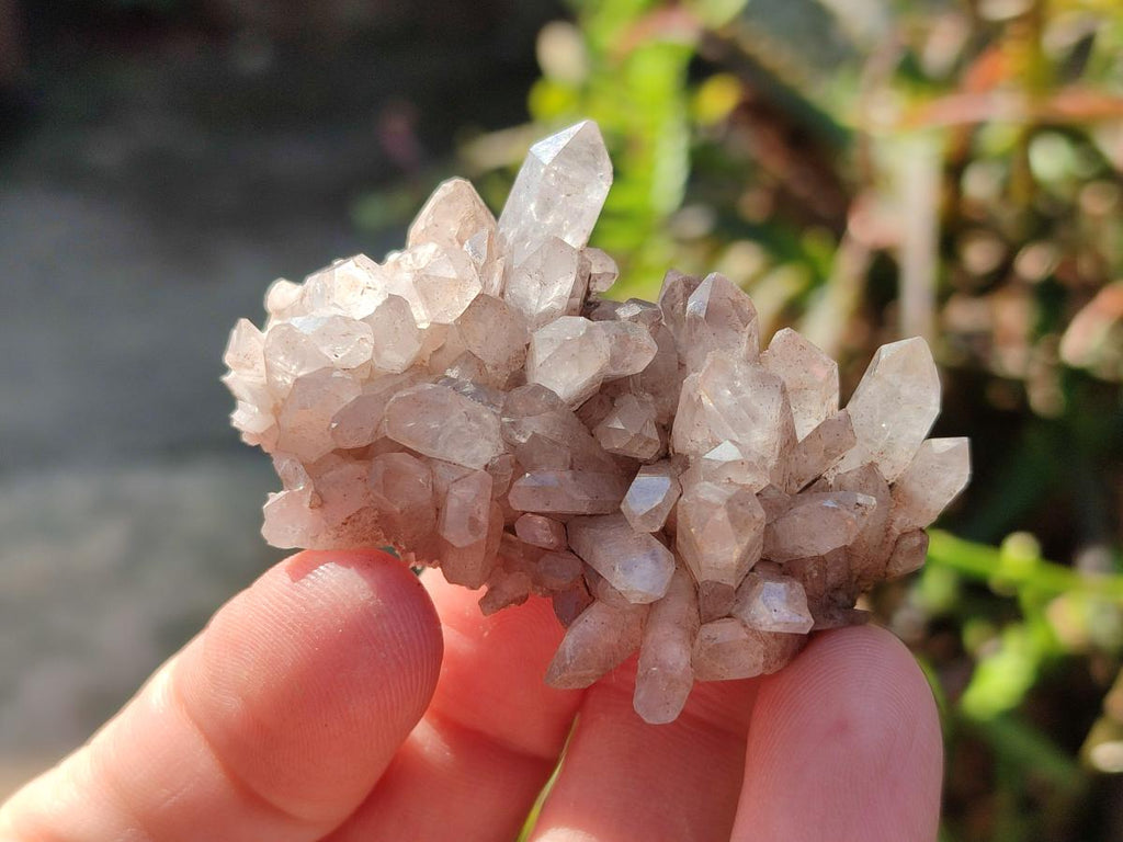 Natural Malagasy Quartz Clusters x 24 From Madagascar - Toprock Gemstones and Minerals 