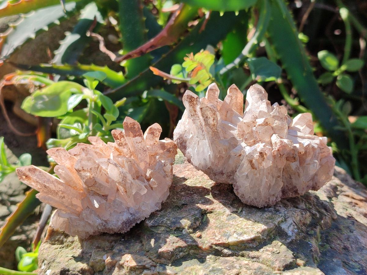 Natural Malagasy Quartz Clusters x 24 From Madagascar - Toprock Gemstones and Minerals 