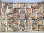 Natural Malagasy Quartz Clusters x 24 From Madagascar - Toprock Gemstones and Minerals 