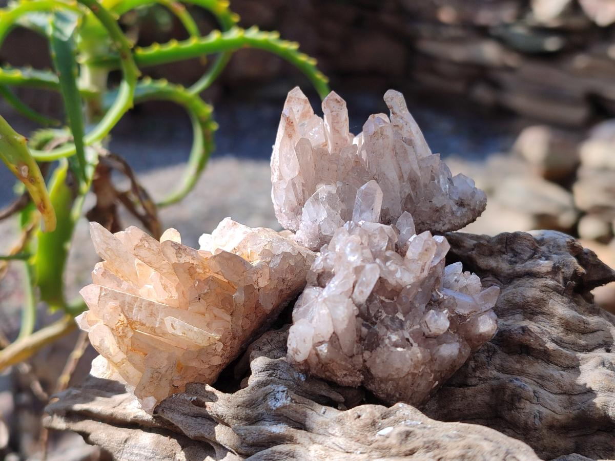 Natural Malagasy Quartz Clusters x 24 From Madagascar - Toprock Gemstones and Minerals 