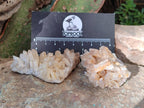 Natural Malagasy Quartz Clusters x 24 From Madagascar - Toprock Gemstones and Minerals 