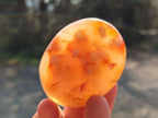 Polished Mixed Multi Mineral Galets x 24 From Southern Africa - Toprock Gemstones and Minerals 