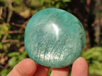 Polished Mixed Multi Mineral Galets x 24 From Southern Africa - Toprock Gemstones and Minerals 