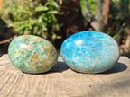 Polished Mixed Multi Mineral Galets x 24 From Southern Africa - Toprock Gemstones and Minerals 