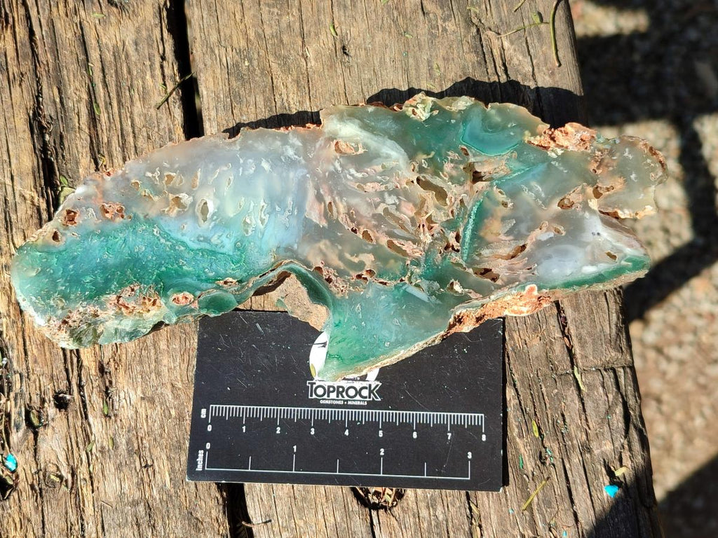 Polished One Side Great Dyke Mtorolite Chrysoprase Plates x 6 From Great Dyke Mountains, Zimbabwe - Toprock Gemstones and Minerals 