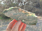 Polished One Side Great Dyke Mtorolite Chrysoprase Plates x 6 From Great Dyke Mountains, Zimbabwe - Toprock Gemstones and Minerals 