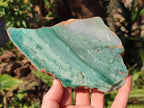 Polished One Side Great Dyke Mtorolite Chrysoprase Plates x 6 From Great Dyke Mountains, Zimbabwe - Toprock Gemstones and Minerals 