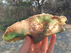 Polished One Side Great Dyke Mtorolite Chrysoprase Plates x 6 From Great Dyke Mountains, Zimbabwe - Toprock Gemstones and Minerals 