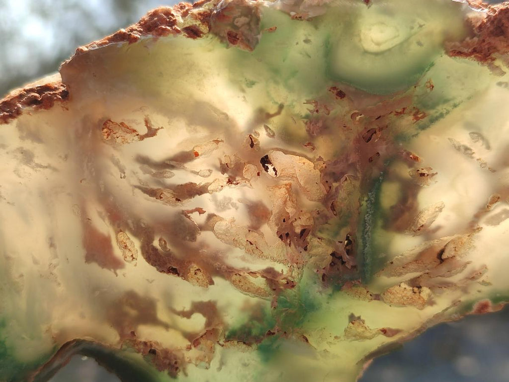 Polished One Side Great Dyke Mtorolite Chrysoprase Plates x 6 From Great Dyke Mountains, Zimbabwe - Toprock Gemstones and Minerals 