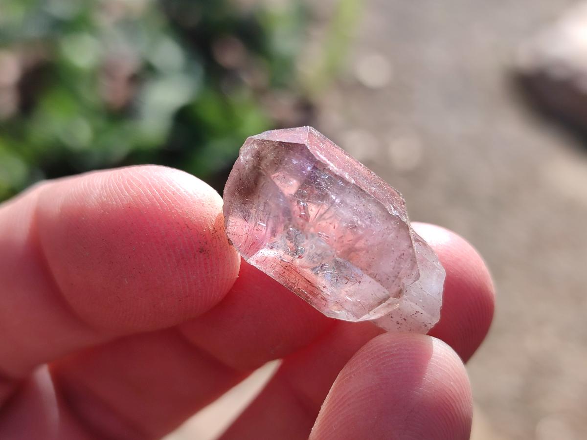 Natural Window Amethyst Crystals x 70 From Chiredzi, Zimbabwe - Toprock Gemstones and Minerals 