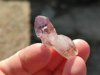 Natural Window Amethyst Crystals x 70 From Chiredzi, Zimbabwe - Toprock Gemstones and Minerals 