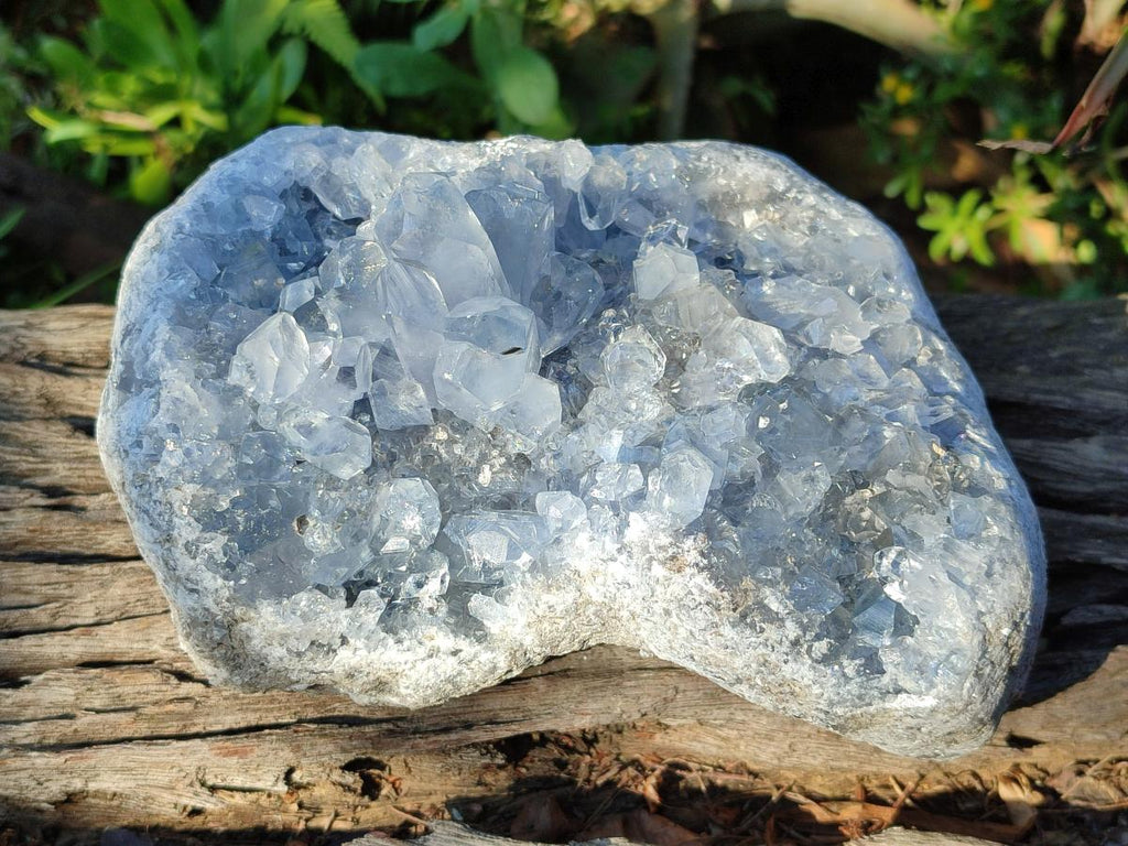 Natural Large Blue Celestite Specimen x 1 From Sakoany, Madagascar - Toprock Gemstones and Minerals 