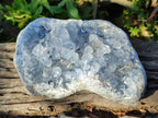 Natural Large Blue Celestite Specimen x 1 From Sakoany, Madagascar - Toprock Gemstones and Minerals 