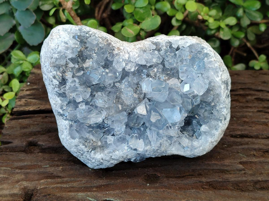 Natural Large Blue Celestite Specimen x 1 From Sakoany, Madagascar - Toprock Gemstones and Minerals 