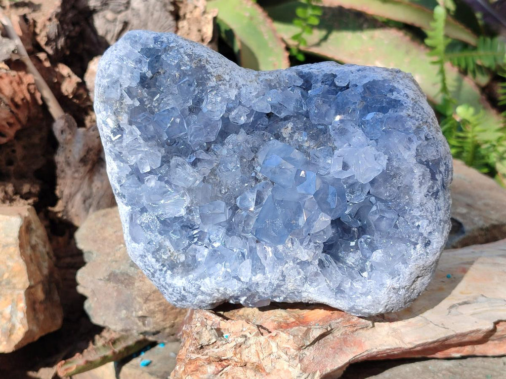 Natural Large Blue Celestite Specimen x 1 From Sakoany, Madagascar - Toprock Gemstones and Minerals 