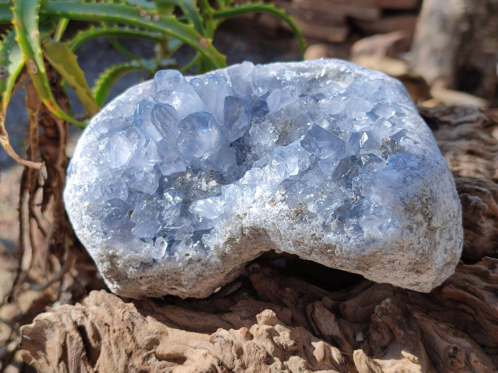Natural Large Blue Celestite Specimen x 1 From Sakoany, Madagascar - Toprock Gemstones and Minerals 