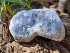 Natural Large Blue Celestite Specimen x 1 From Sakoany, Madagascar - Toprock Gemstones and Minerals 