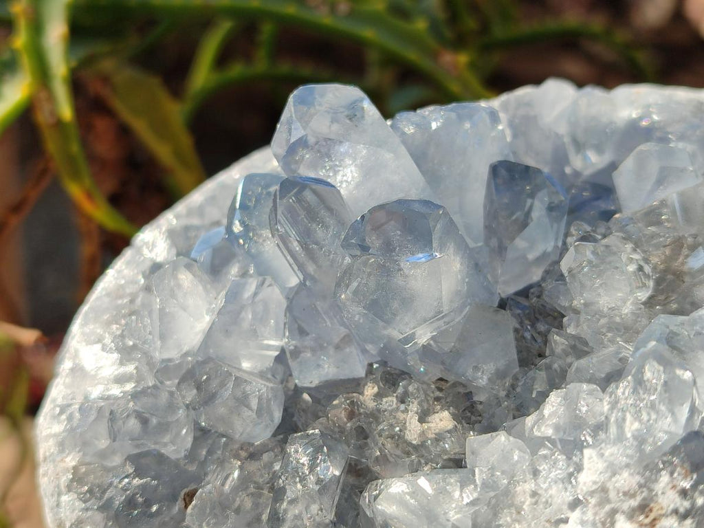 Natural Large Blue Celestite Specimen x 1 From Sakoany, Madagascar - Toprock Gemstones and Minerals 