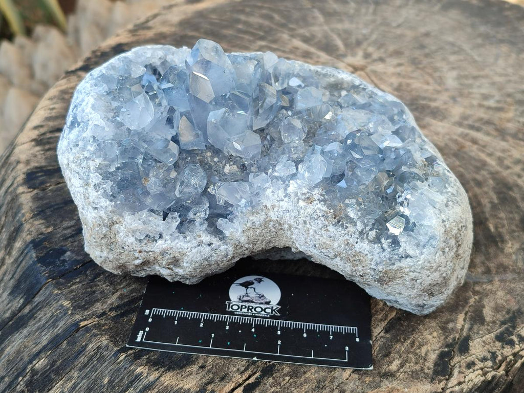 Natural Large Blue Celestite Specimen x 1 From Sakoany, Madagascar - Toprock Gemstones and Minerals 
