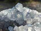 Natural Large Blue Celestite Specimen x 1 From Sakoany, Madagascar - Toprock Gemstones and Minerals 