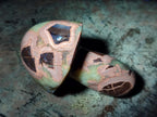 Polished Septerye Mushrooms x 7 From Mahajanga, Madagascar - Toprock Gemstones and Minerals 