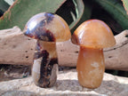 Polished Septerye Mushrooms x 7 From Mahajanga, Madagascar - Toprock Gemstones and Minerals 