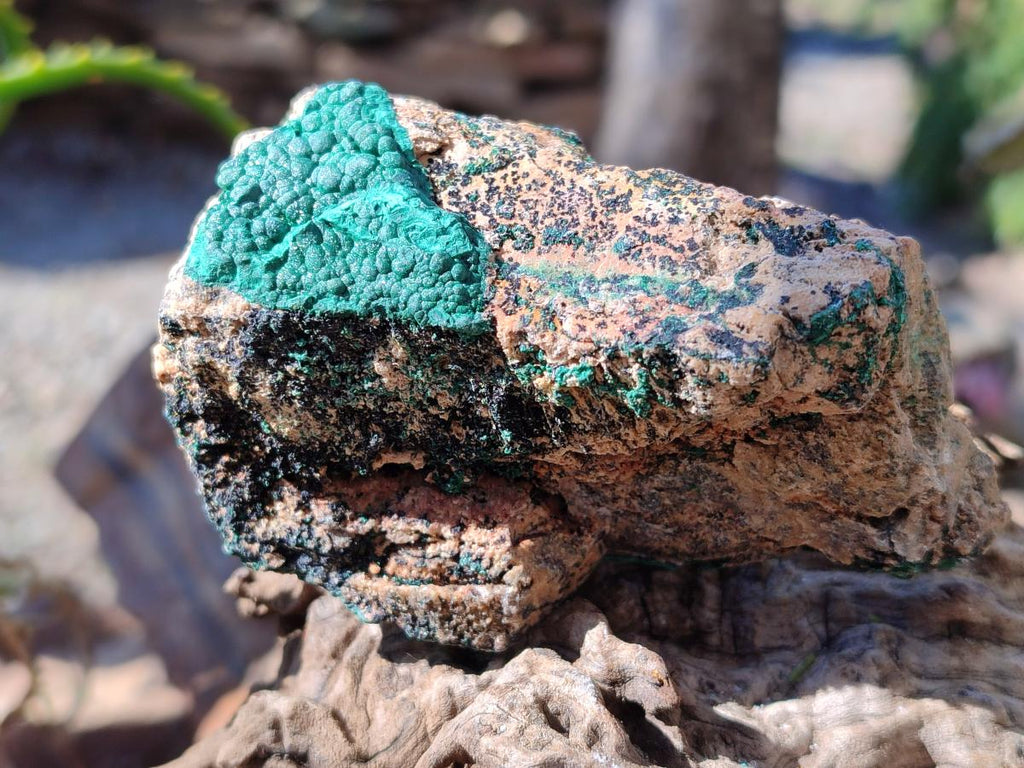Natural Botryoidal Crystalline Malachite Specimens x 6 From Tenke Fungurume, Congo - Toprock Gemstones and Minerals 