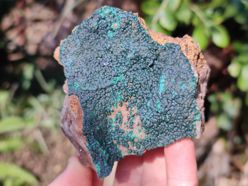 Natural Botryoidal Crystalline Malachite Specimens x 6 From Tenke Fungurume, Congo - Toprock Gemstones and Minerals 
