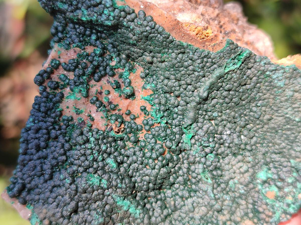 Natural Botryoidal Crystalline Malachite Specimens x 6 From Tenke Fungurume, Congo - Toprock Gemstones and Minerals 