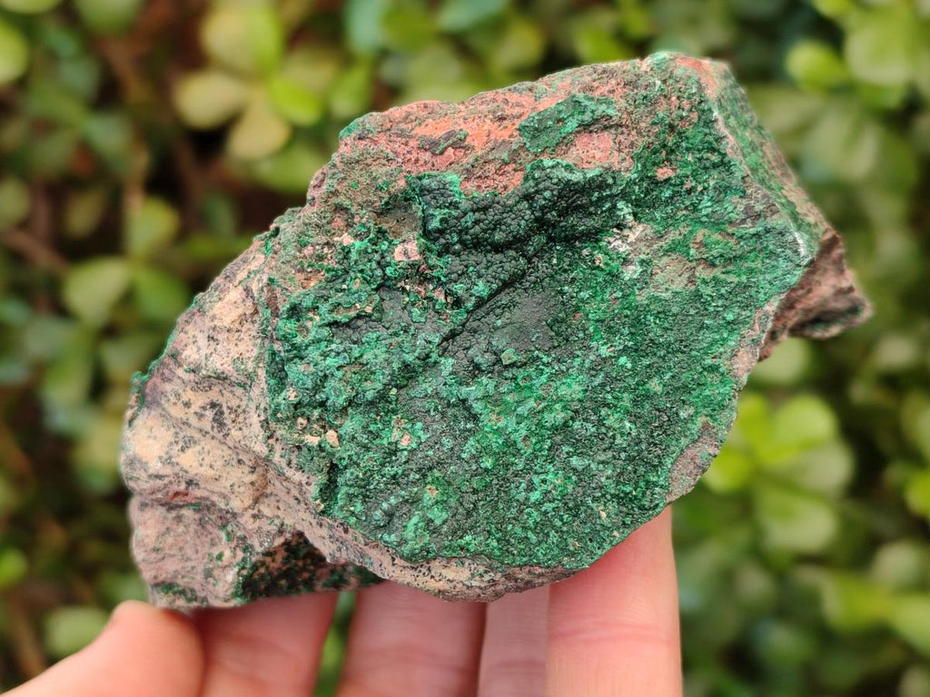 Natural Botryoidal Crystalline Malachite Specimens x 6 From Tenke Fungurume, Congo - Toprock Gemstones and Minerals 