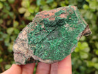 Natural Botryoidal Crystalline Malachite Specimens x 6 From Tenke Fungurume, Congo - Toprock Gemstones and Minerals 